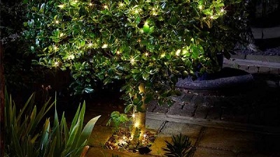 50 Warm White Firefly String Lights | Smart Garden
